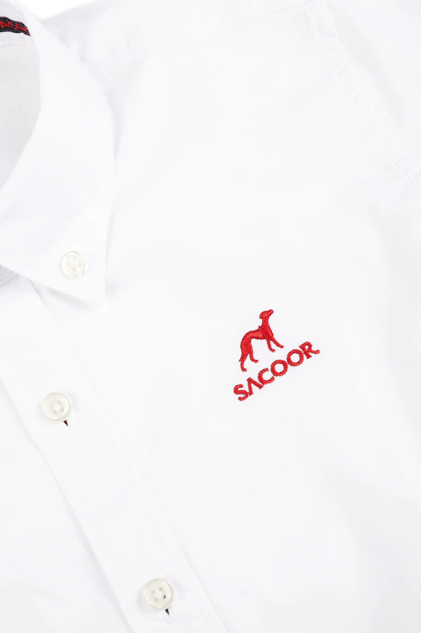 Button Down Shirt - Image 2