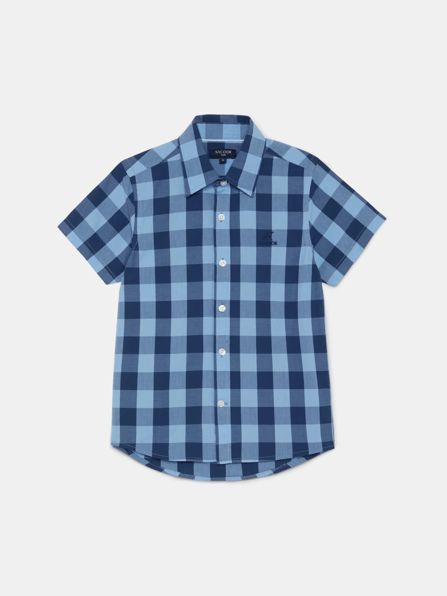 Casual Chedked Poplin Shirt