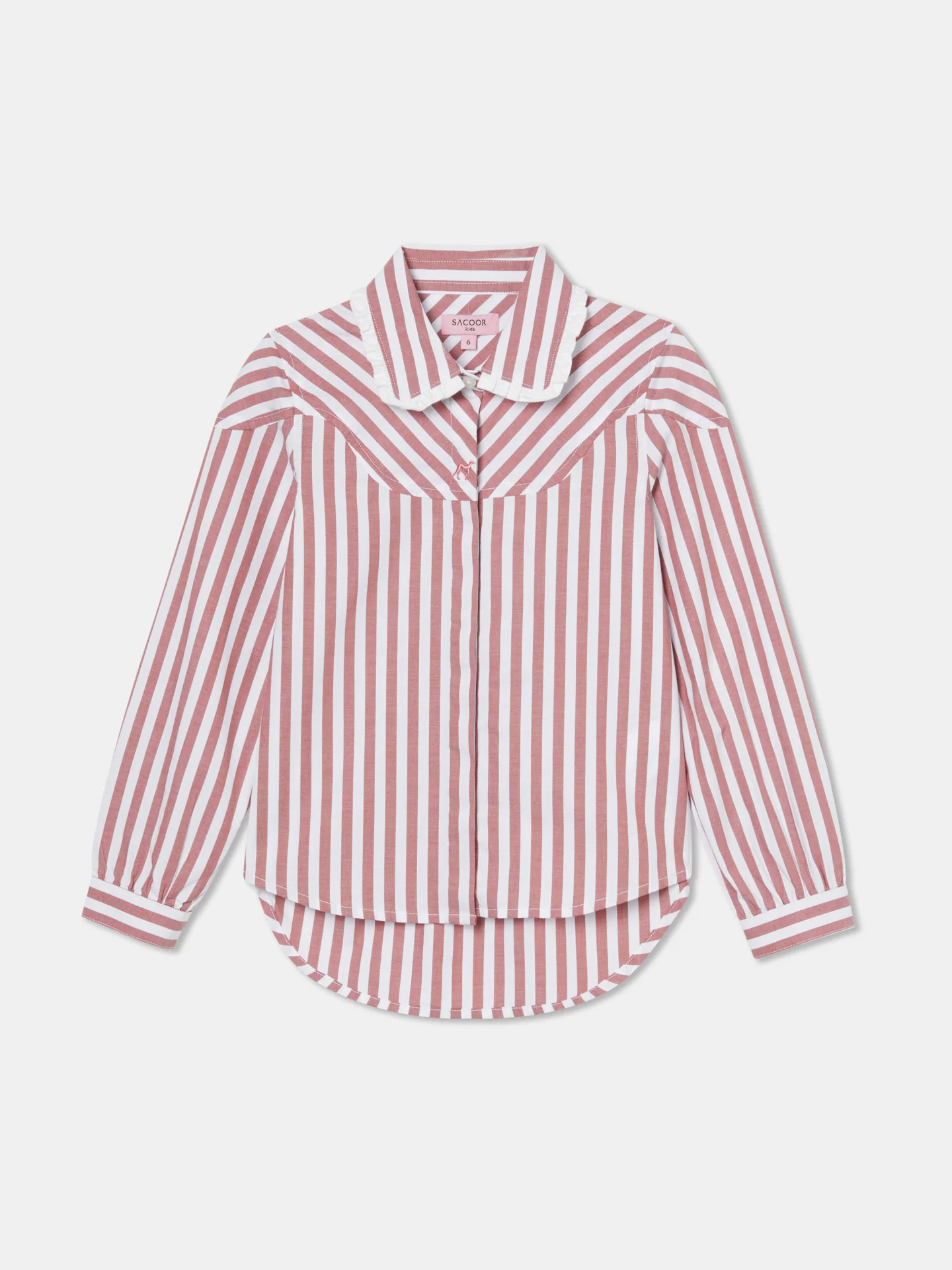 Casual Stripped Poplin Shirt