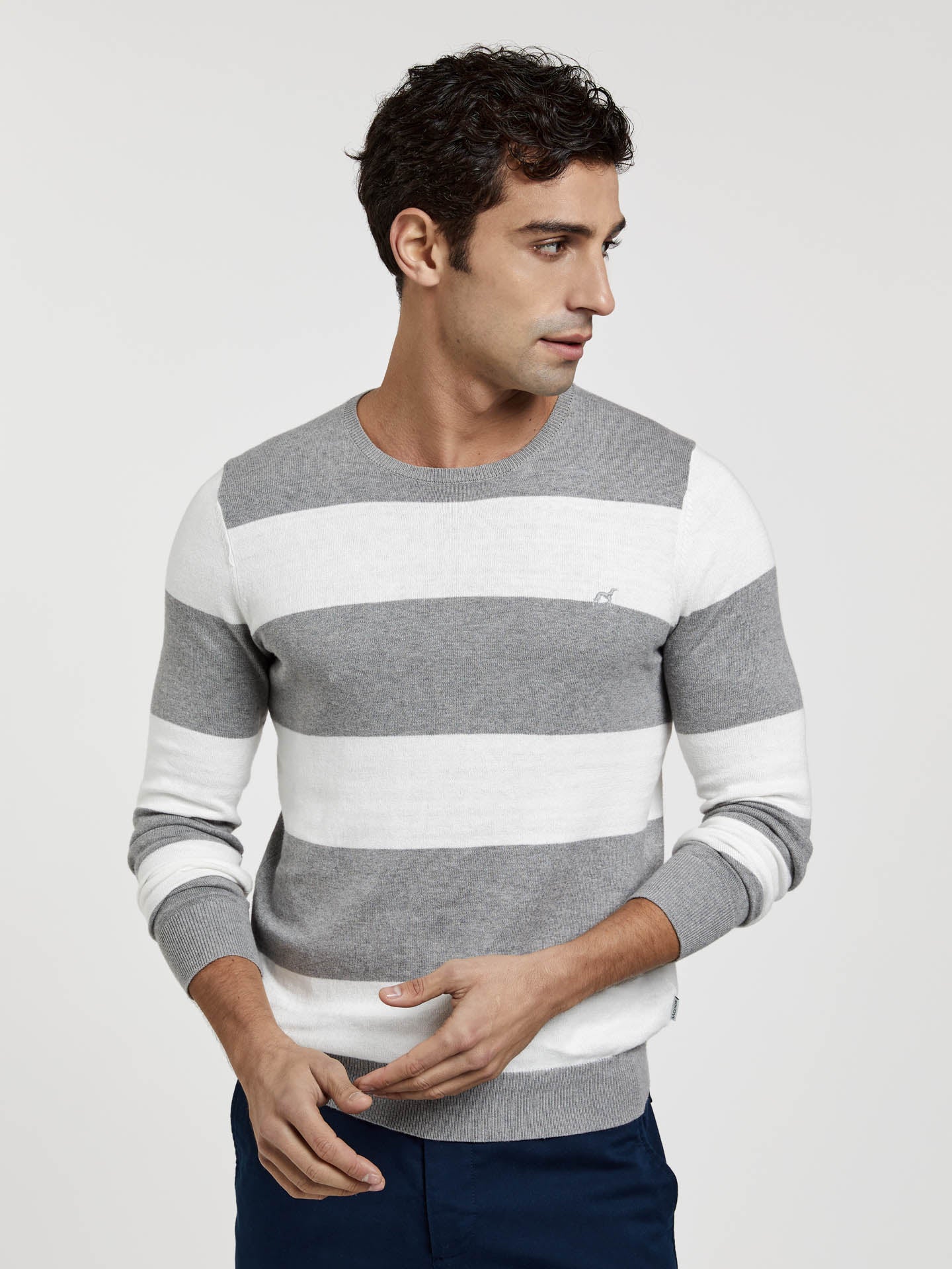 Crew Neck Sweater With Large Stripes - Image 5