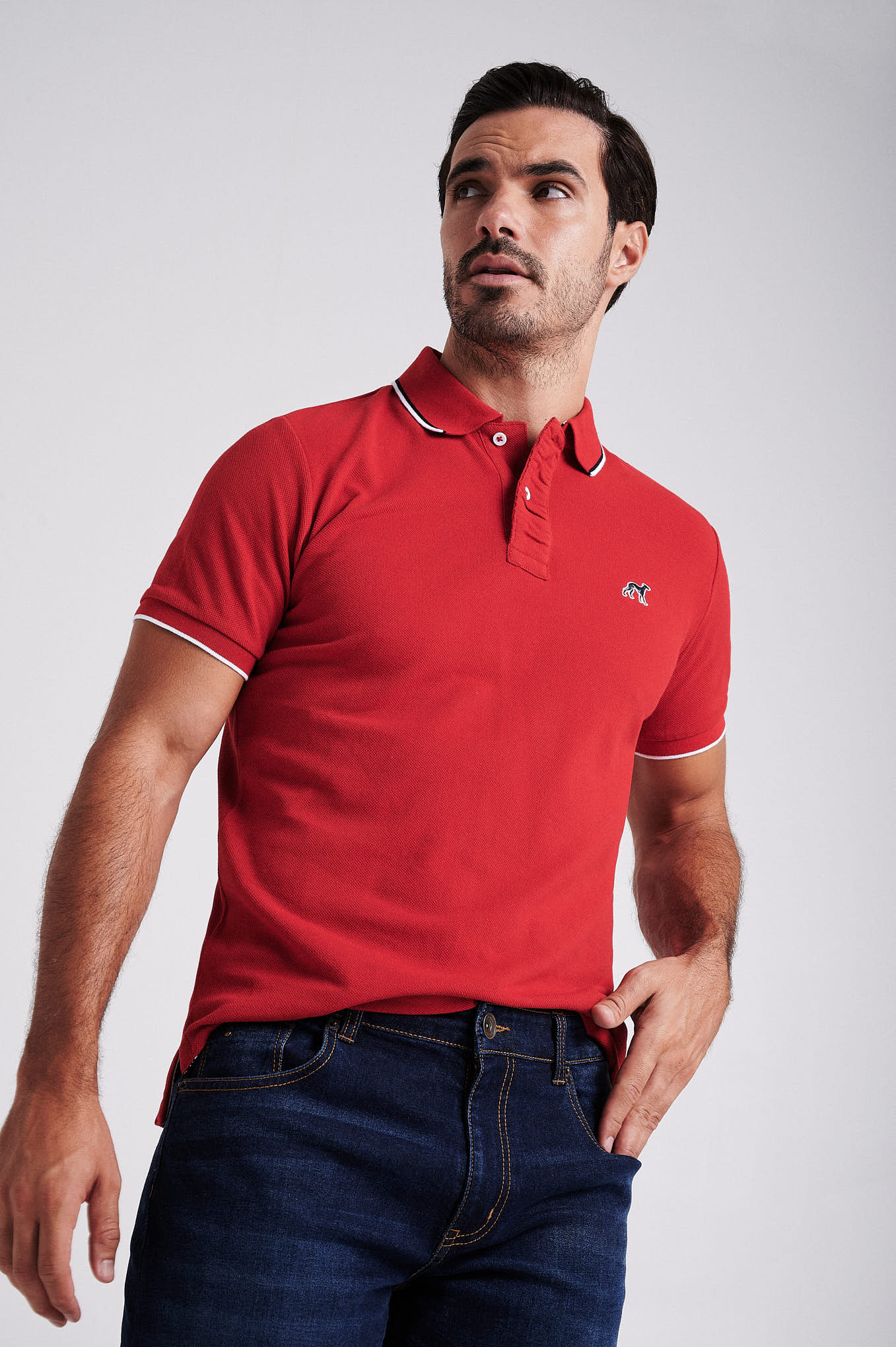 Men's cotton piquet polo with wrinkle placket - Image 28