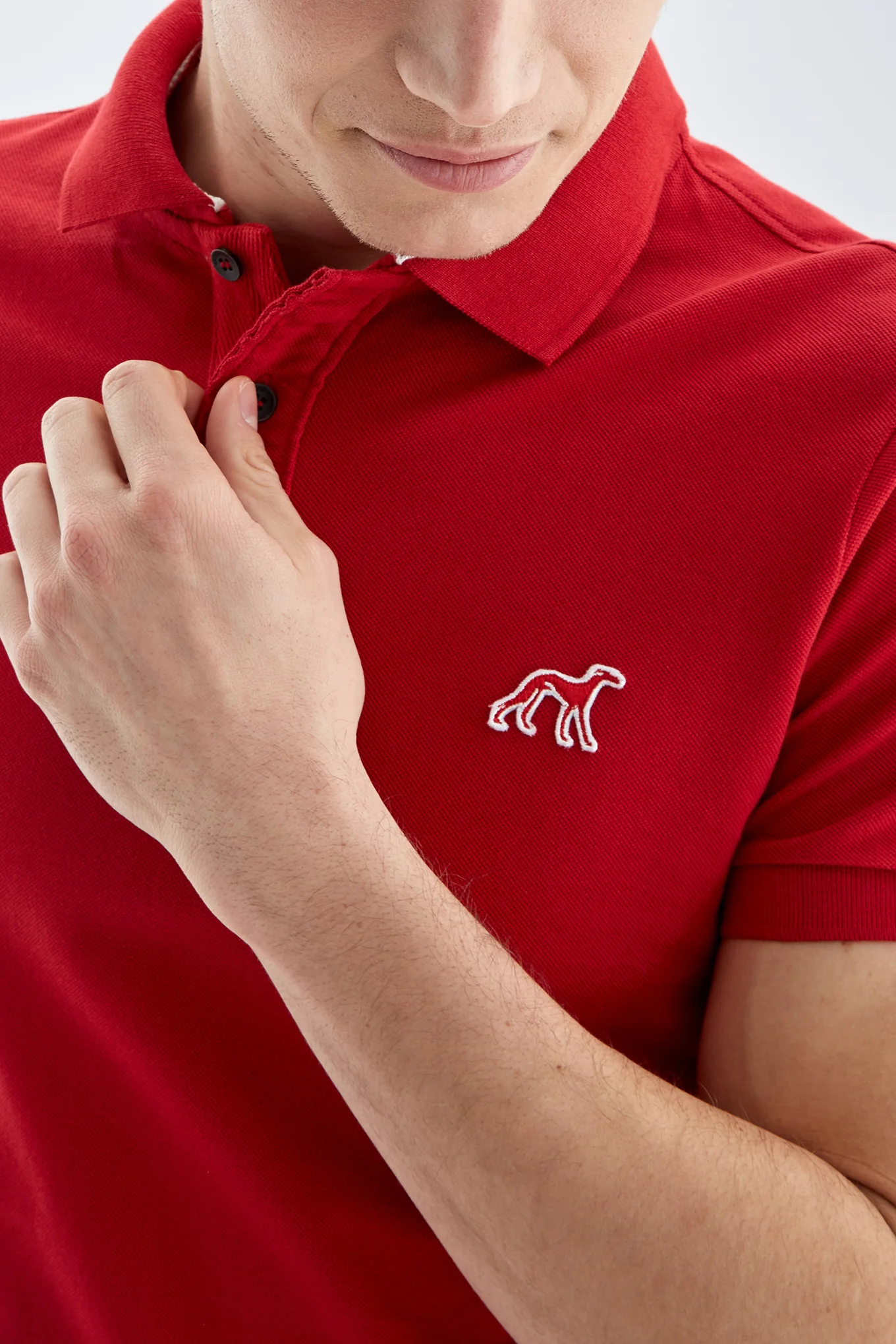 Men's Regular Fit Piquet Polo shirt - Image 24