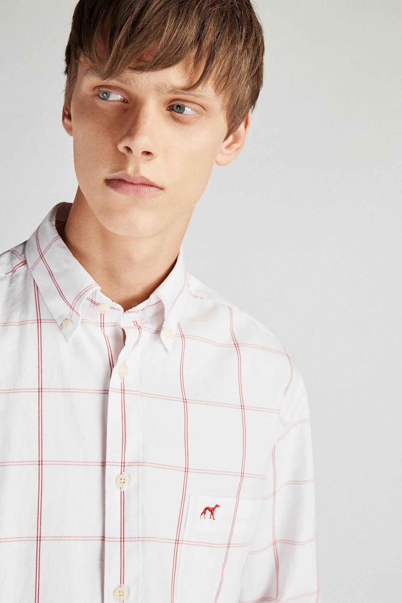 Men's Regular Fit Sport Shirt - Image 2