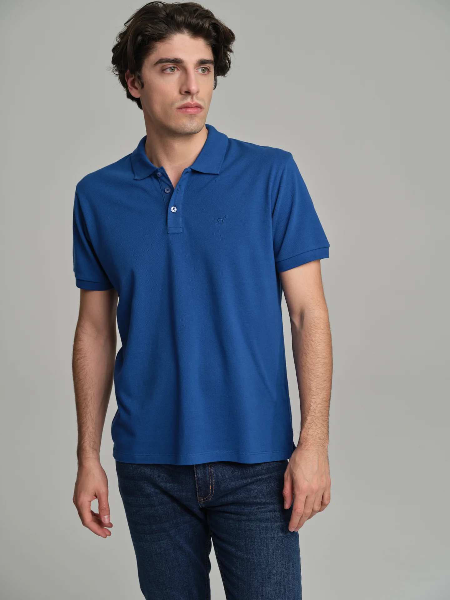 Regular fit basic piquet polo shirt