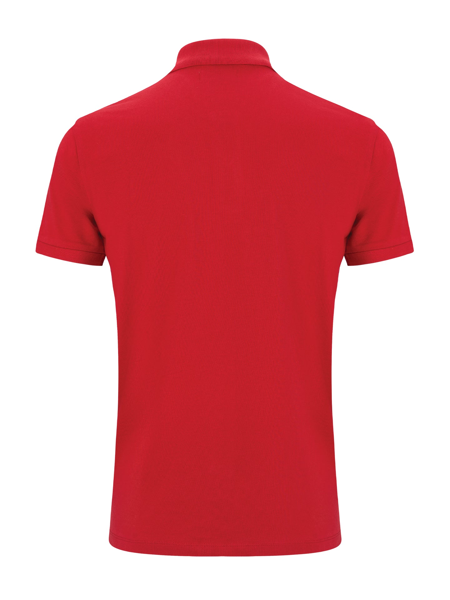 Stripped Polo Piquet - Image 23